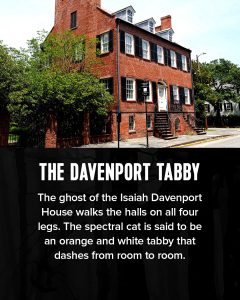 5 Infamous Savannah Ghosts